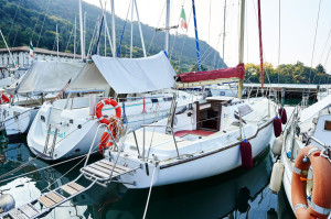 _DSC7088